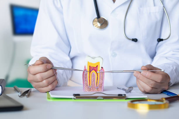 Best Emergency Root Canal Treatment in Tower Lakes, IL